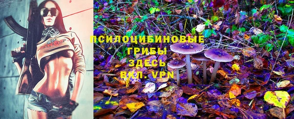 PSILOCYBIN Алексин