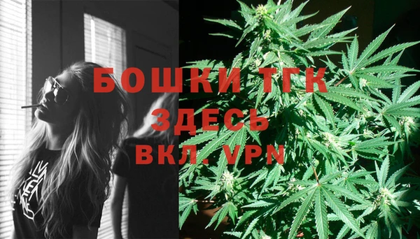 PSILOCYBIN Алексин
