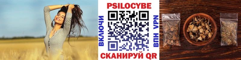 Галлюциногенные грибы Cubensis  Ужур 